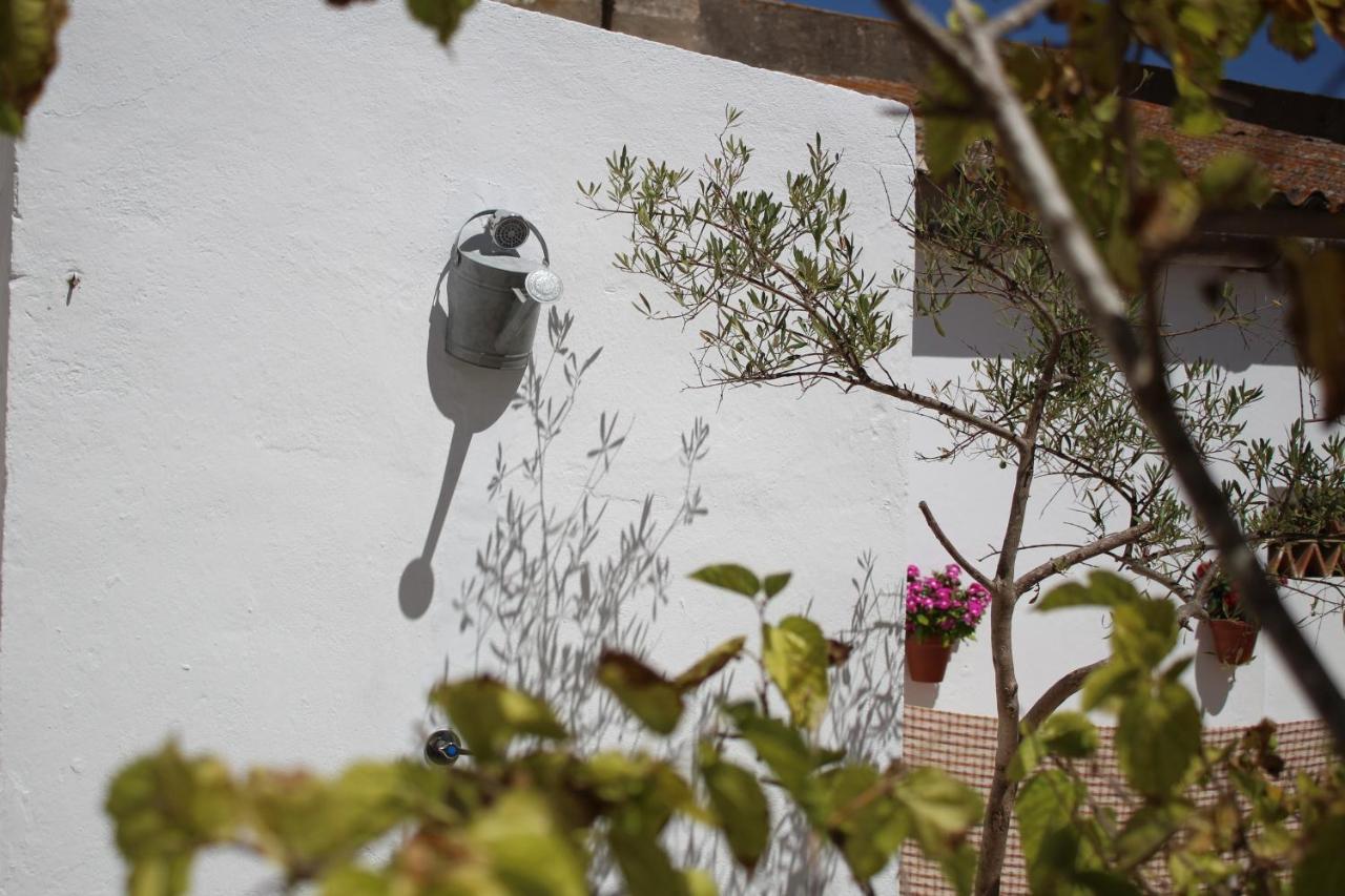 Casa Leonor Vejer Daire Vejer de la Frontera Dış mekan fotoğraf